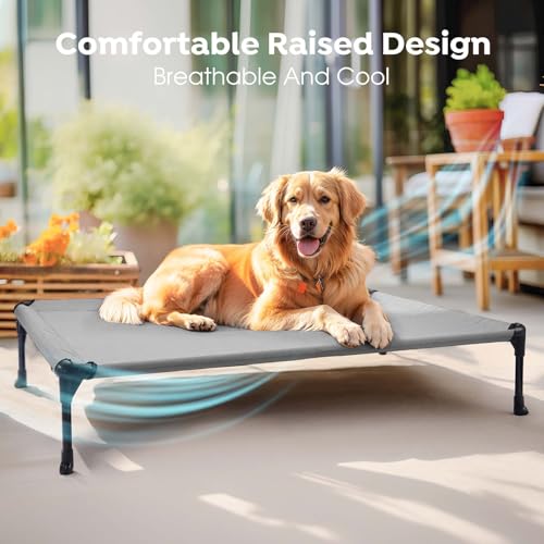 Outdoor Elevated Dog Cot Bed, Cooling Raised Pet Bed for Large Dogs, Washable Breathable Mesh Hammock Bed with No-Slip Feet, Indestructible Ground Off Training Platform Cot-42x30 Grey