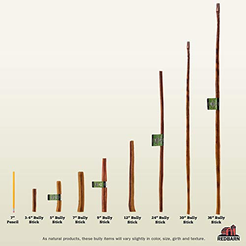 Redbarn All-Natural 7 Bully Sticks for Dogs - Premium Grain-Free & Rawhide-Free Single Ingredient Long Lasting Low Odor Dental Treat for Chewers - 6 Count