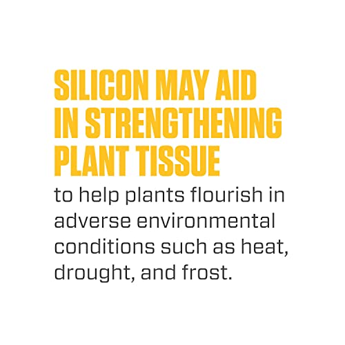 Silica Blast, Plant Supplement, 0-0-0.5, 1 qt.