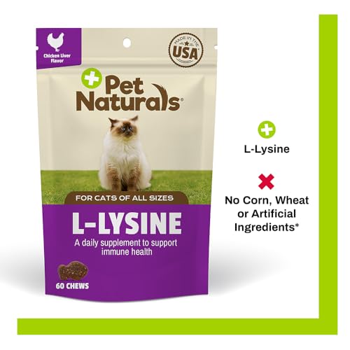 Lysine for Cats, Chicken Flavor, 60 Chews - Immune and Respiratory Support for Cats - No Wheat or Corn - Vet Recommended