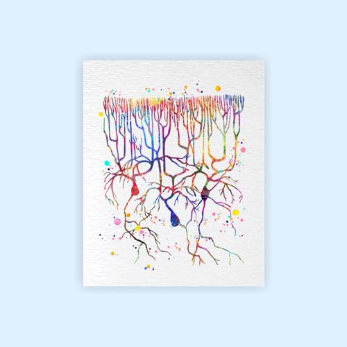 Dignovel Studios 8X10 Unframed Purkinje Neuron Watercol