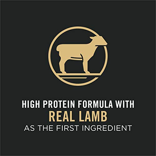 High Protein, Small Bites Dog Food, SPORT 27/17 Lamb &amp; Rice Formula - 37.5 lb. Bag