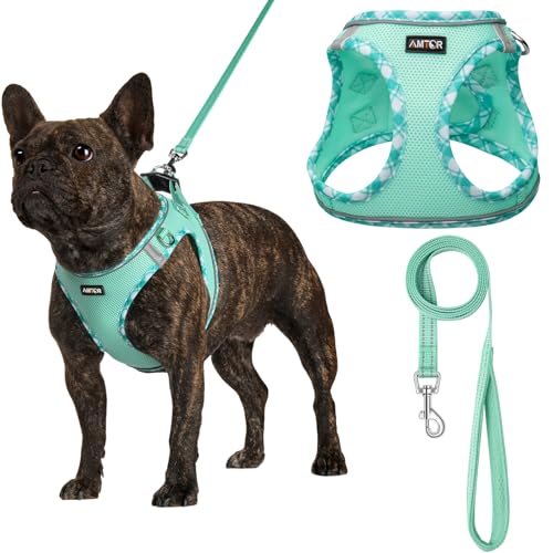 Small Dog Harness with Leash Set, No Escape Easy Walk Puppy Harnesses for Training Walking, Step-in Reflective Soft Dogs Vest for XS S Medium Extra-Small Large Sized Dog(Green,S)