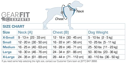 Enhanced Strength Tru-Fit Smart Dog Harness, Black, Large - Crash Tested Car Safety Harness for Dogs, No Pull Dog Harness, Includes Pet Safety Seat Belt Tether