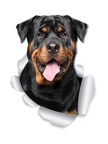 Winston &amp; Bear 3D Smiling Rottweiler Stickers - 2 Pack - Rottweiler Wall Decals - Dog Lover Gifts - Dog Stickers for Bedroom - Fridge - Toilet - Car - Retail Packaged
