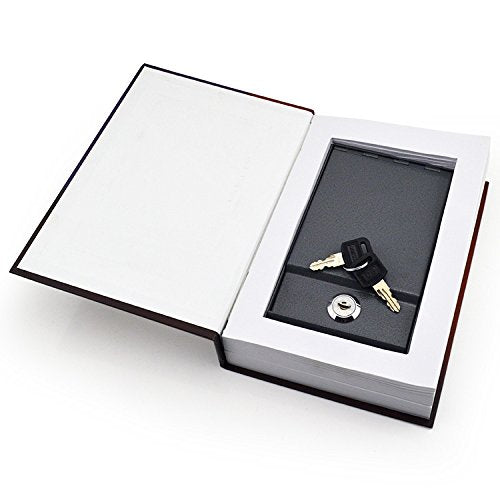 Real Pages Diversion Book Safe with Key Lock,Hollow wit