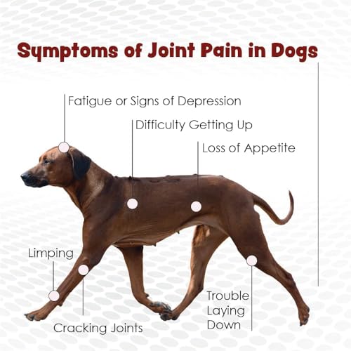 TS Joint Supplement Vet Formulated Pain &amp; Inflammation Relief Treats Hip Dysplasia &amp; Arthritis, Glucosamine, Chondroitin, Turmeric, MSM, HA, Creatine, Omega 3 EPA + DHA.120 Soft Chews