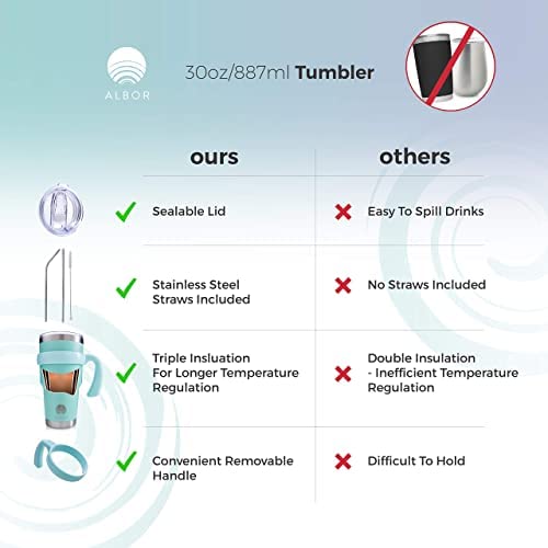 20 oz Insulated Coffee Tumbler With Lid and Straw, Insulated Water Bottle, Stainless Steel Tumbler, Leak Proof Water Bottle, Travel Coffee Mug (Mint, 20 oz)