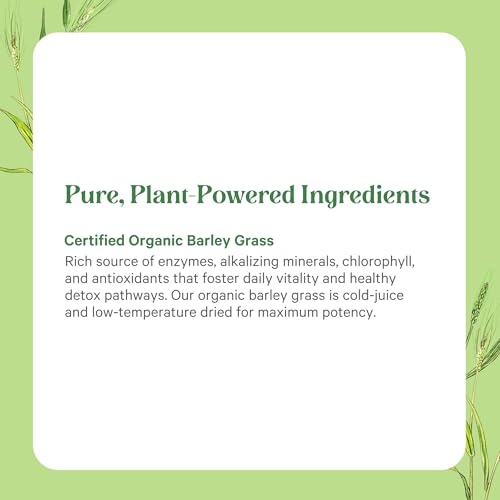 Organic Barley Grass Juice Powder | Chlorophyll-Rich Greens Powder | Organic Cold-Pressed Barley Grass Juice | for Energy, Detox, and Digestion Support (5.3 oz.)
