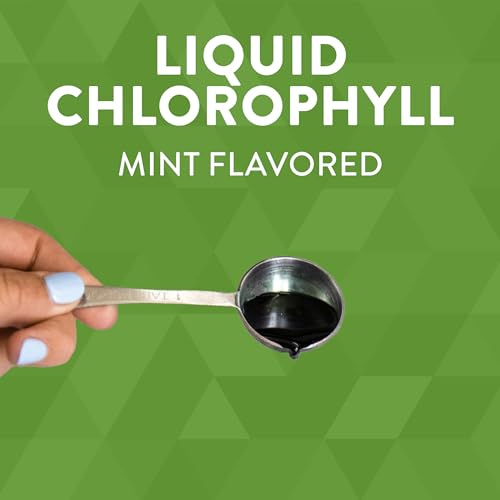 Nature&#39;s Way Chlorofresh, Liquid Chlorophyll, S