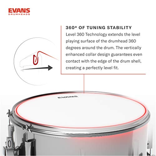 Evans Heads Drum Head, 22 Inch (BD22EMADHW)