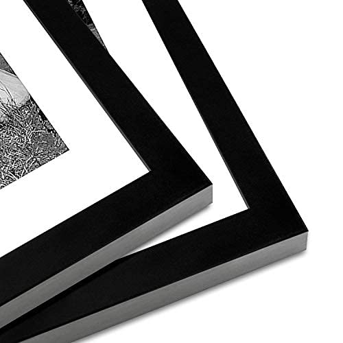 12x16 Picture Frame with Shatter-Resistant Glass - Set of 2 - Use as 8x12 Frame with Mat or 12x16 Frame Without Mat - Signature Collection - Picture Frame Set for Wall Display - Black