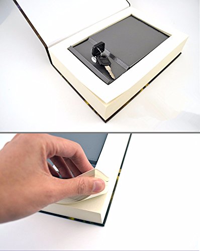 Real Pages Diversion Book Safe with Key Lock,Hollow wit