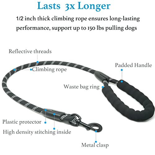 Dual Dog Leash - Tangle-Free 360° Swivel &amp; Shock-Absorbing Bungee, Double Leash for Walking Two Dogs (Large, 25-150 lbs, Black)