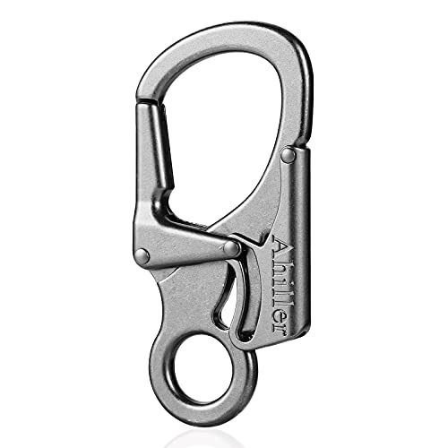 Carabiner Clip, Double Anti-Misopening Locking Design, 2.95&#39;&#39; in Alloy Carabiner Keychain for Outdoor Camping, Key Ring Clip (Black)