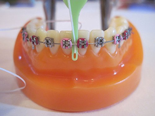 FlossFish - Reusable Orthodontic flossers 5 Mixed Color