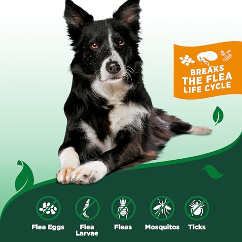 Vet&#39;s Best Flea and Tick Home Spray - Dog Flea and Tick Treatment for Home - Plant-Based Formula - Certified Natural Oils,Green - 32 oz
