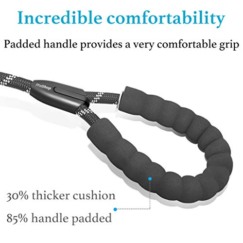 Dual Dog Leash - Tangle-Free 360° Swivel &amp; Shock-Absorbing Bungee, Double Leash for Walking Two Dogs (Large, 25-150 lbs, Black)
