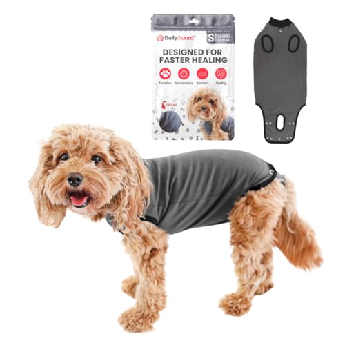 Recovery Suit for Dogs, Comfy Dog Surgery Suit, Female Spay and Male Neuter Onesie for Post-Op Care