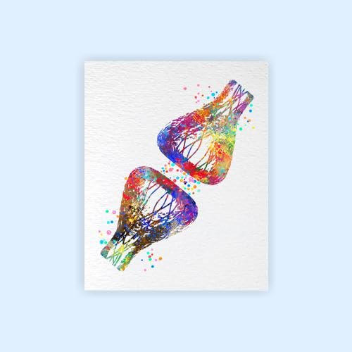 8X10 Unframed Synapse Receptor Medical Science Neurology Neural Network Watercolor Art Print Poster Housewarming Wall Giclee Office Home Decor DN531