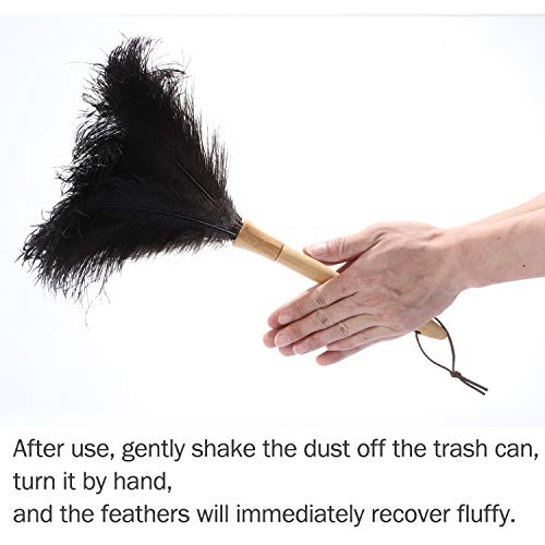Feather Duster, Ostrich Feather Duster Ddzmz Fluffy Nat