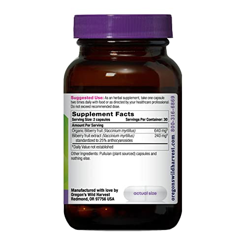 Bilberry Herbal Supplement Vegan Capsules, 880 mg, 60 Count
