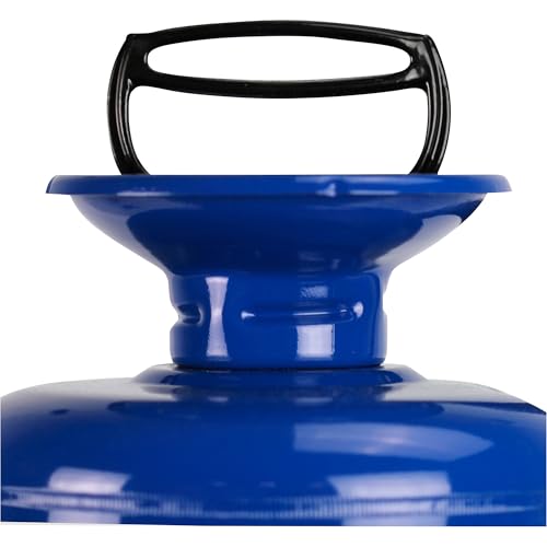 Chapin 2 Gallon Premier Pro Tri Poxy Steel Tank Liquid Lawn and Garden Pump Sprayer with Lock On Adjustable Nozzle and 5 Inch Wide Mouth Opening, Blue