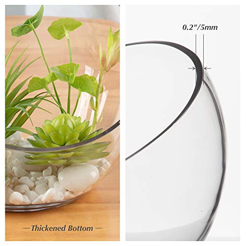 WGVI Clear Slant Cut Bowl Glass Vase, Glass Terrarium, 