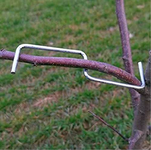 The Fruit Branch Spreader Forms Stronger Branches on Cherries and Other Fruit Trees to Support The Growth of New Branches, Branch Support (24 per Pack) (S-3.9(inch))