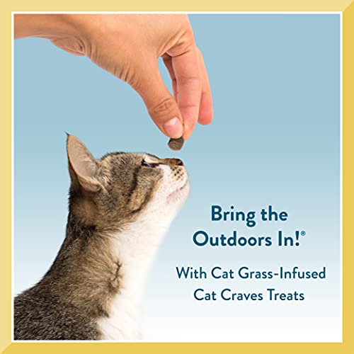Treats Deep Sea Tuna Semi-Moist Cat Treat 3 Ounce (Pack of 1)