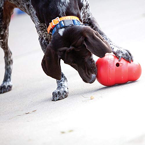 Wobbler - Interactive Dog Toy for Treat Dispensing - Dog Slow Feeder for Healthy Eating - for Medium/Large Dogs