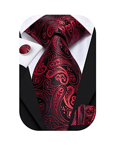 Dubulle Mens Paisely Floral Silk Tie for Men Striped Ne