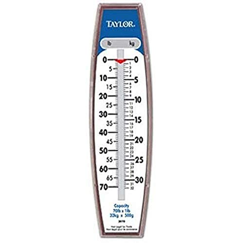 Taylor Hanging Scale (70-Pound/32-Kilogram)