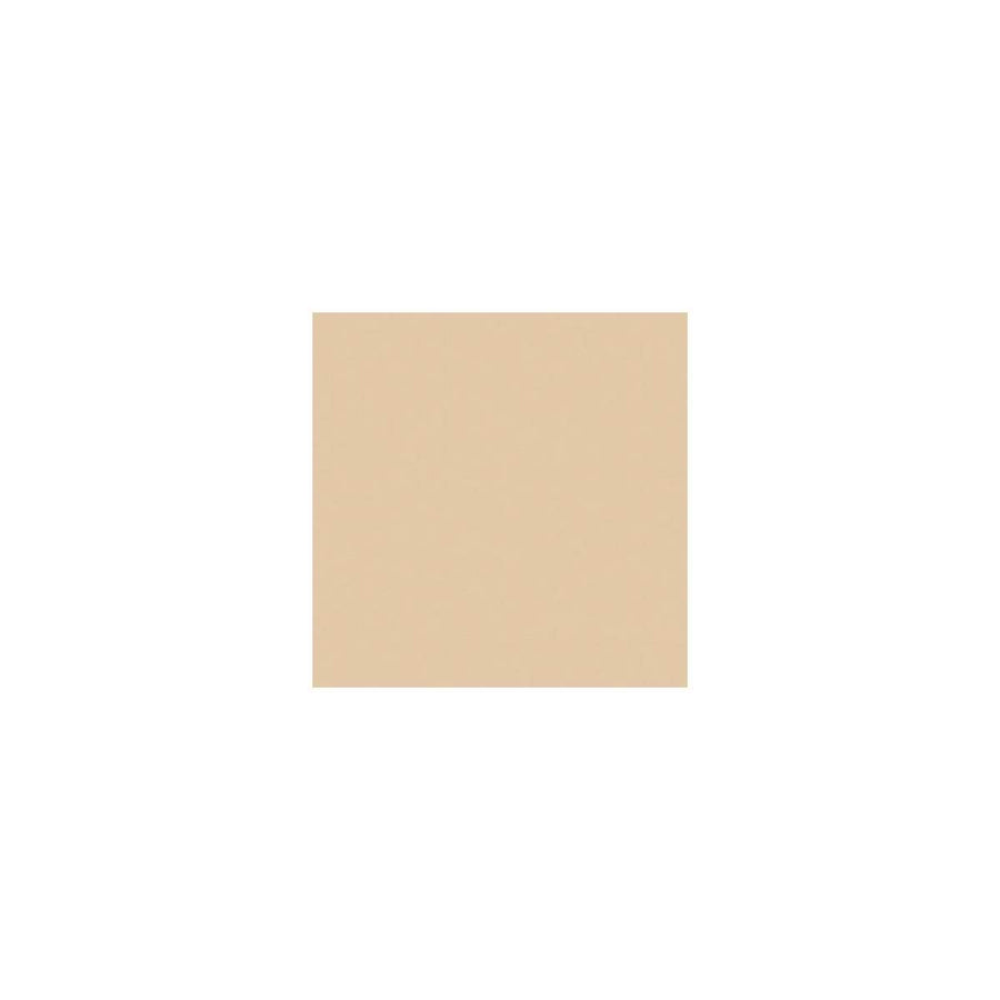 lux Bastard Amber, 20x24 Color Effects Lighting Filter