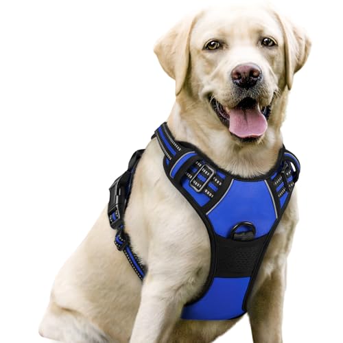 Dog Harness No Pull with 2 Leash Clips, Adjustable Soft Padded, Reflective Oxford No Choke Pet Vest with Easy Control Handle for Large Dogs, Dazzling Blue, L