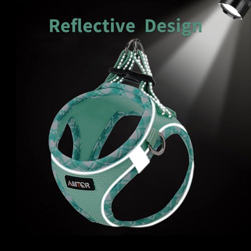 Small Dog Harness with Leash Set, No Escape Easy Walk Puppy Harnesses for Training Walking, Step-in Reflective Soft Dogs Vest for XS S Medium Extra-Small Large Sized Dog(Green,S)