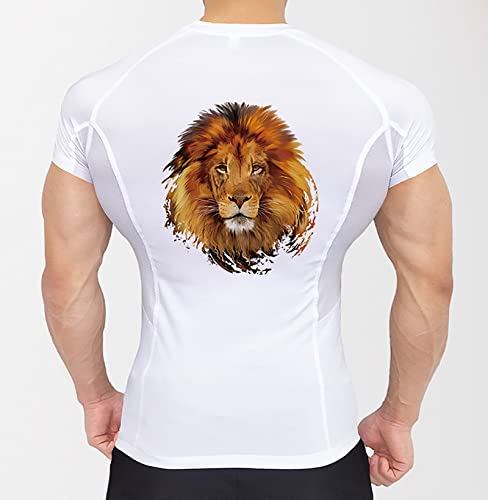 Iron On Transfer Patches for Clothing 4Pcs Colorful Lions Tiger Heat Transfers Sticker On Clothes for T-Shirt Jeans Applications