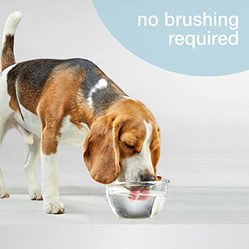 Advanced Oral Care Pet Dental Water Additive, Liquid Tartar Remover & Breath Freshener for Dogs, Dog Teeth-Cleaning, Original Flavor, 32 oz.