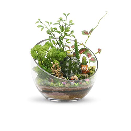 WGVI Clear Slant Cut Bowl Glass Vase, Glass Terrarium, 