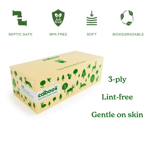 Caboo Tree Free Facial Tissue Paper, Tree Free, Eco Fri