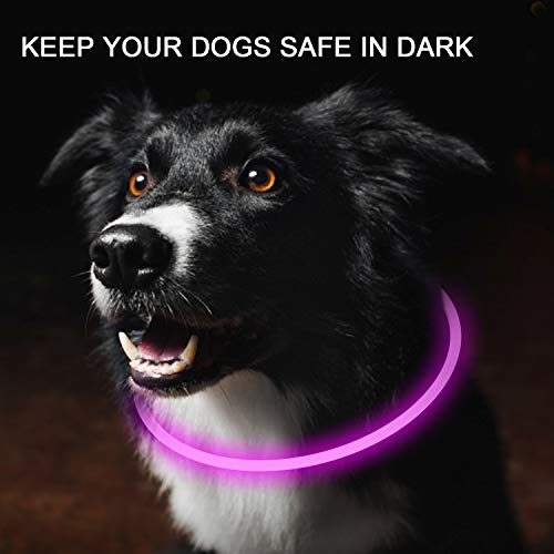 2-Pack LED Dog Collar, Light Up Dog Collars,Rechargeable Dog Lights for Night Walking,Universal, Reusable Safety Necklace for Small Medium Large Dogs RED&amp;Pink