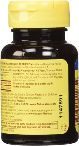 Vitamin B-6 100 Mg, Tablets, 100-Count (Pack of 2)