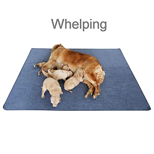 Peepeego Non-Slip Dog Pads Extra Large 72 x 72, Washable Puppy Pads with Fast Absorbent, Reusable, Waterproof for Training, Whelping, Housebreaking, Incontinence, for Playpen