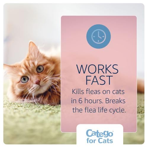 for Cats Flea and Tick Treatment & Prevention (over 1.5 lbs) 3-month supply