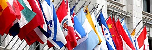 Annin Flagmakers Texas State Flag USA-Made to Official State Design Specifications, 3 x 5 Feet (Model 145305)