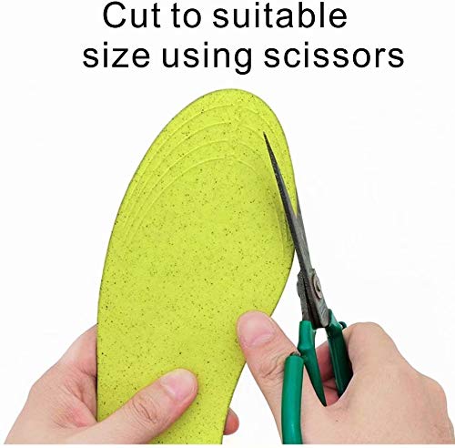 Dr. Foot&#39;s Arch Support Insoles, Help Against P