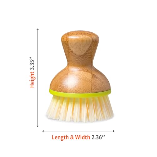 Full Circle, Green Bubble Up Bamboo Dish Brush, White, 