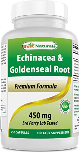 Echinacea Goldenseal 450 mg 250 Caps