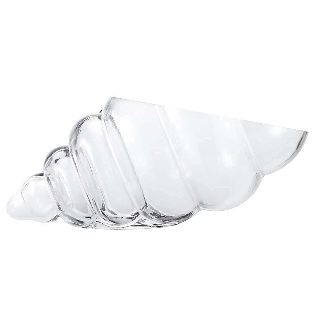 Glass Shell Vase, 11-Inch Seashell Potpourri Holder, Large Decorative Conch Bowl for Shell Collection Display, Sea Glass, Air Plant