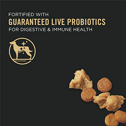 High Protein Puppy Food Shredded Blend Chicken & Rice Formula - 6 lb. Bag